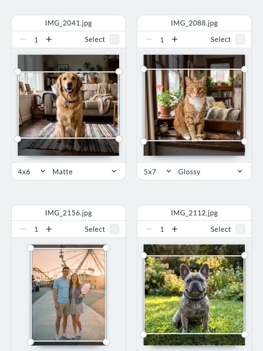 Printbox Prints Editor interface